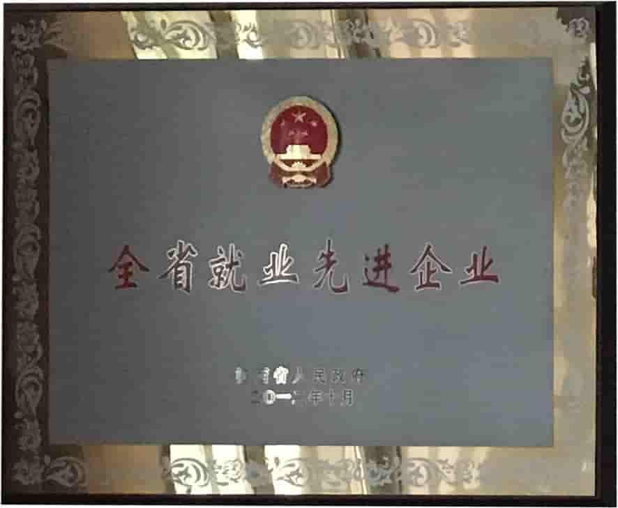 江西亞美達(dá)科技有限公司核心榮譽(yù)